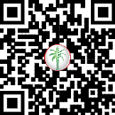 65276801650