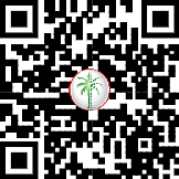 71151306069