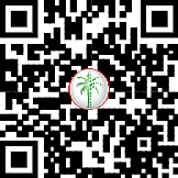 71167806734