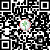 71249617839