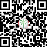 71279499035