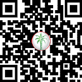 71505491595