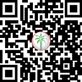 71511979504