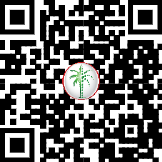 71521628206